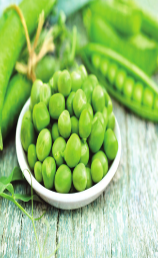 Green Peas prepared for export