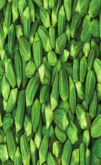 Green Okra prepared for export